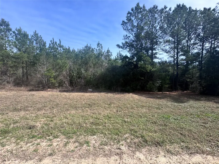 15576 Forest Grove Drive, Willis, TX 77378 - #3