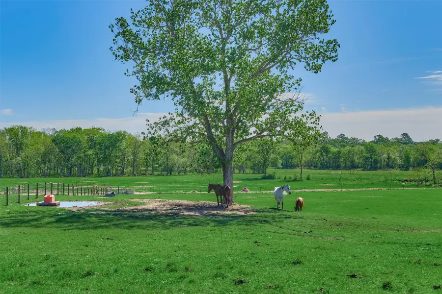 2960 N Mt Mariah Rd, Montgomery, TX 77356 - #2