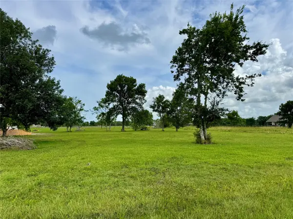 33011 Amberjack Drive, Richwood, TX 77515