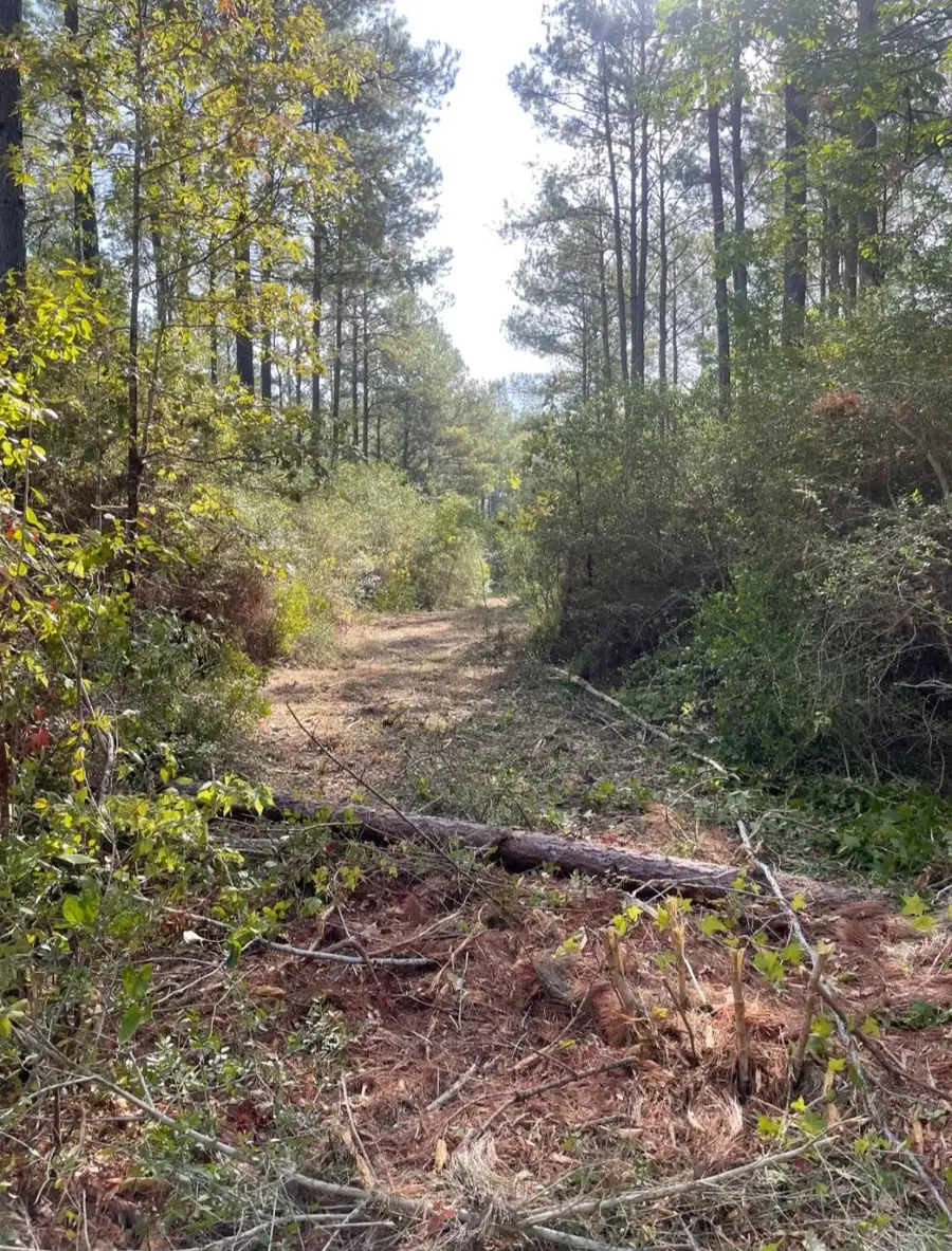 0 Whitmire Road, Trinity, TX 75862 - #3