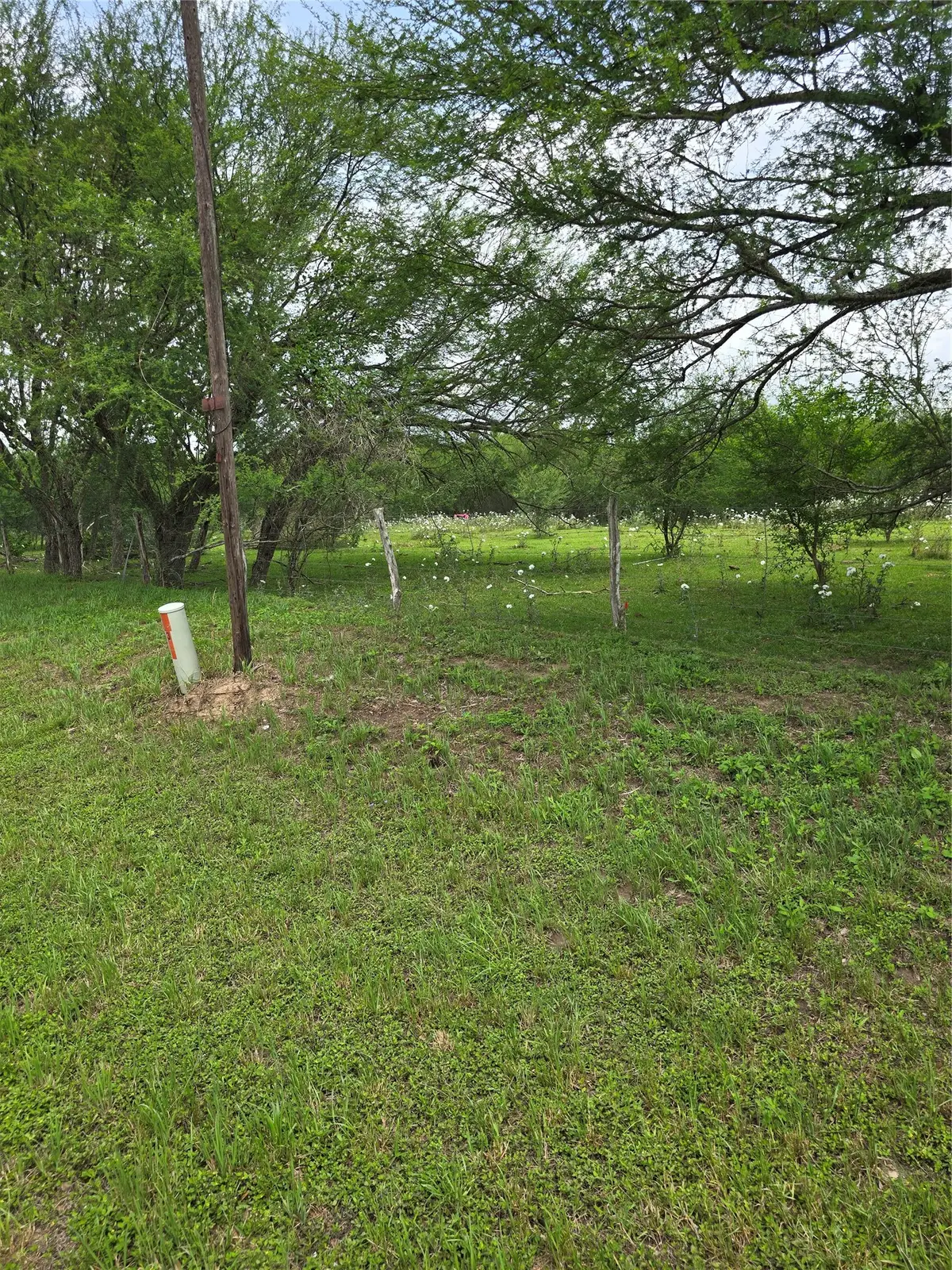 256 Park Rd 38, San Felipe, TX 77474 - #1