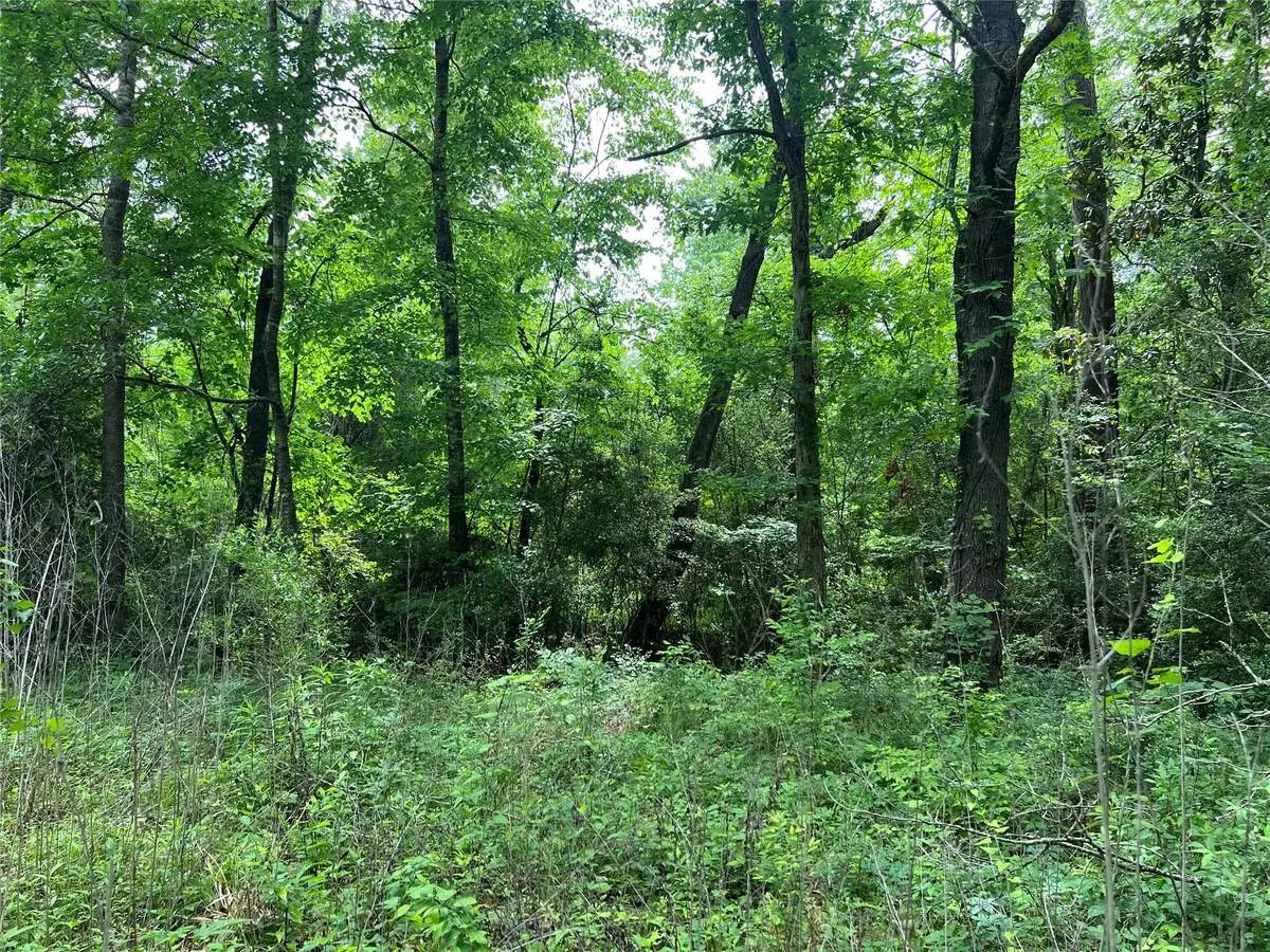 TBD Lot 22 Forester, Livingston, TX 77351 - #1