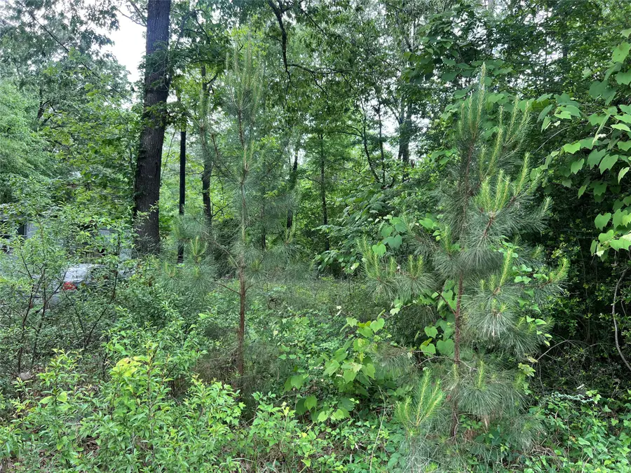 TBD Lot 22 Forester, Livingston, TX 77351 - #2