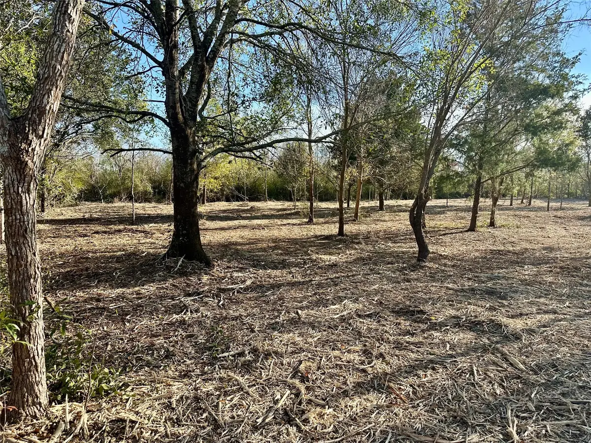 000 Fredrick Street, Port Arthur, TX 77640 - Image #1