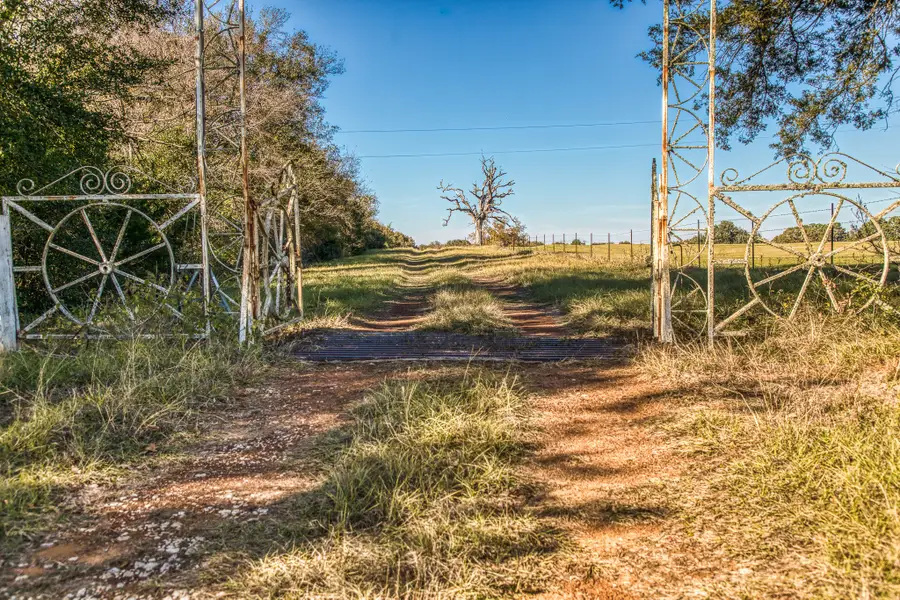 1967 Fm 489, Oakwood, TX 75855 - Image #3