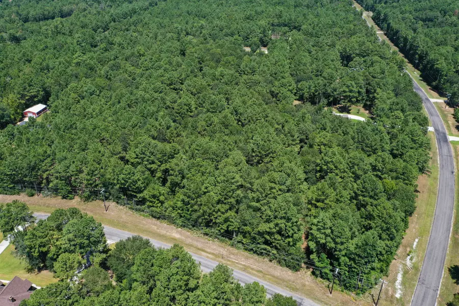 3b-13-3 Saddle Ridge, Huntsville, TX 77340 - #3