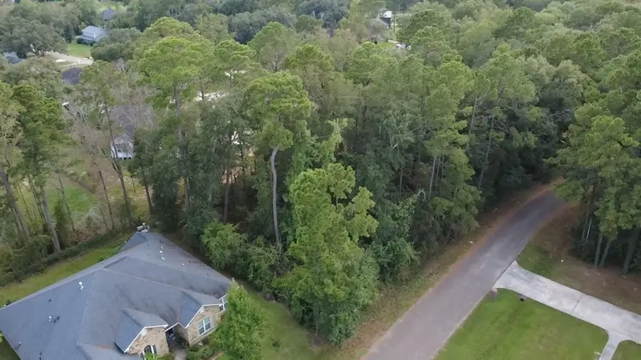 31 Holly Springs Drive, Conroe, TX 77302 - #2