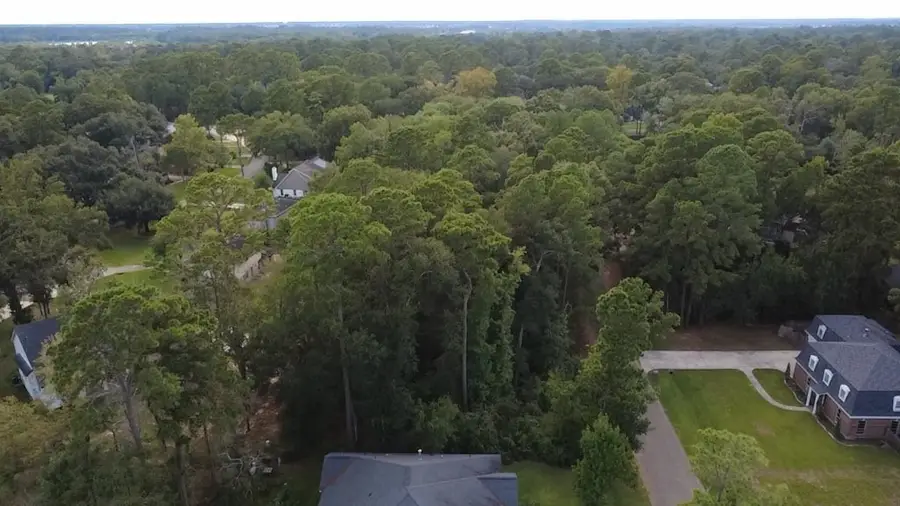 31 Holly Springs Drive, Conroe, TX 77302 - #3