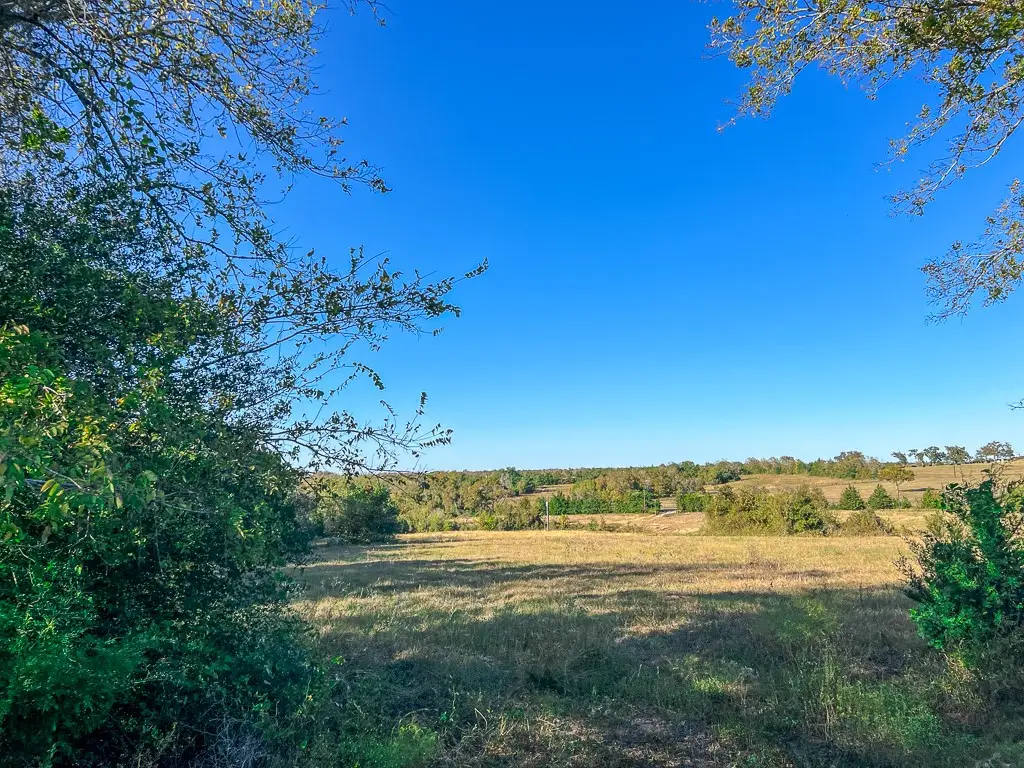 Tract #1 Fm-1774, Anderson, TX 77830 - Image #1