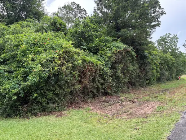 0 Moore Street, Tomball, TX 77375