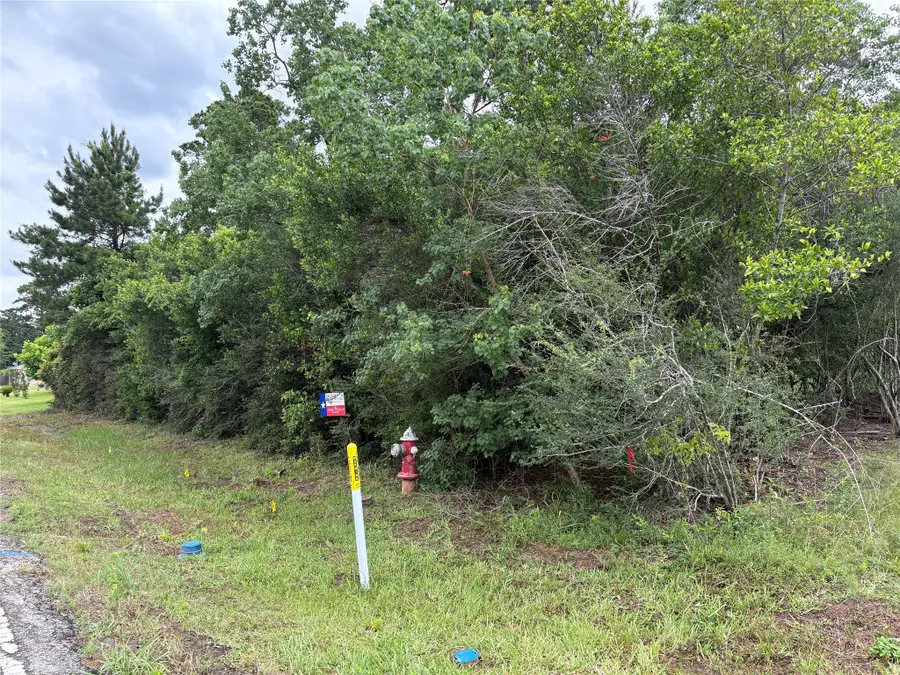 0 Moore Street, Tomball, TX 77375 - #3