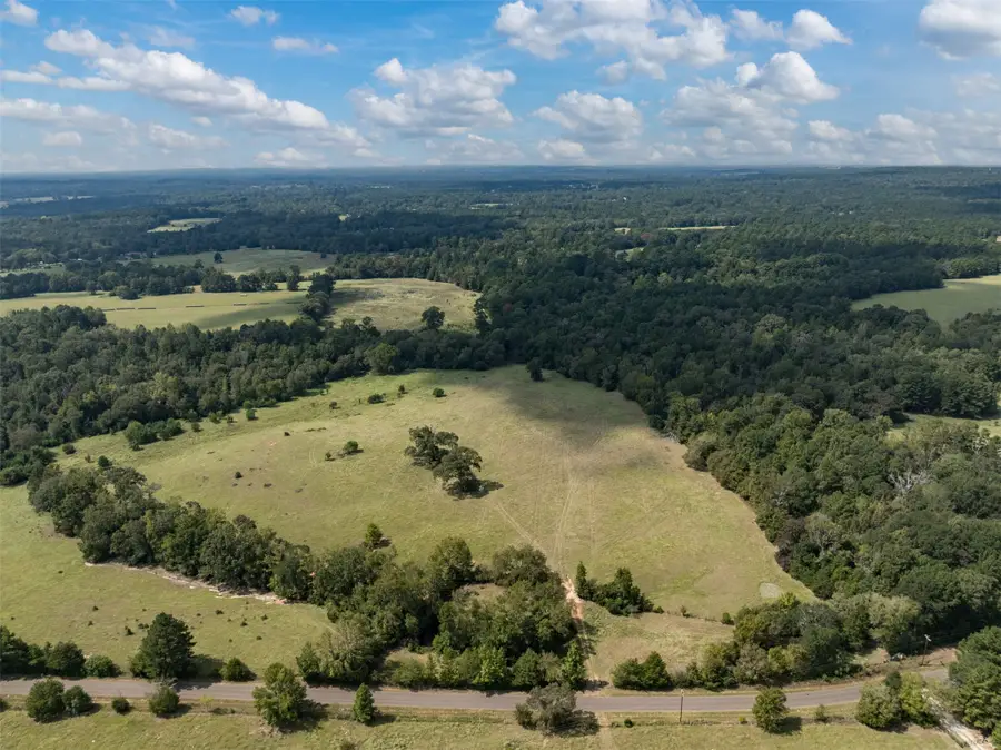 Tract 1A An County Road 153, Palestine, TX 75801 - Image #2