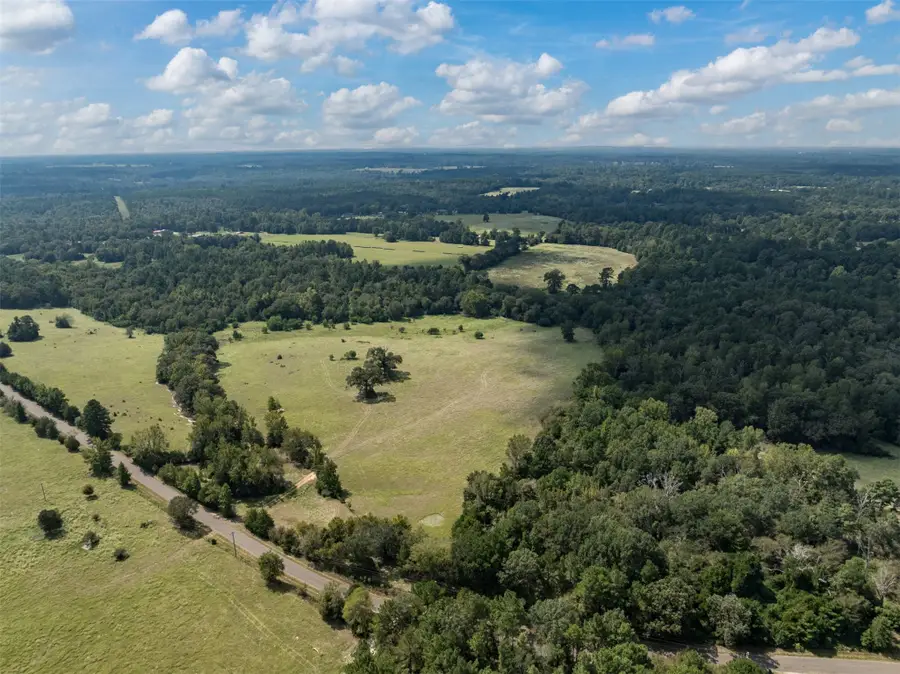 Tract 1A An County Road 153, Palestine, TX 75801 - Image #3