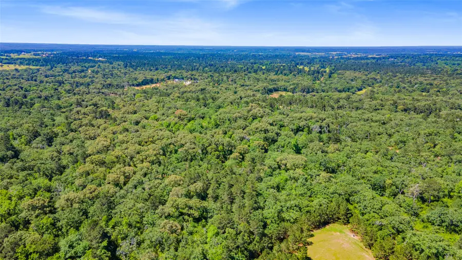 Lot 91 Cr 114, Centerville, TX 75833 - #3