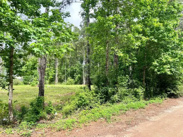 19212 Cannock Court, New Caney, TX 77357
