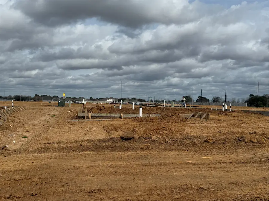 29006 Fig Vine Drive, Waller, TX 77484 - #2