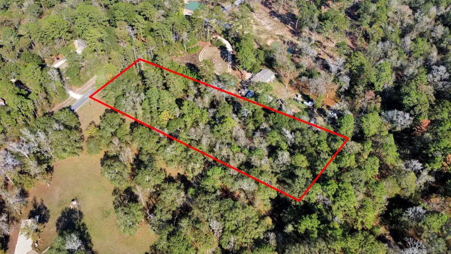 8219 Clark Road, Plantersville, TX 77363 - #2