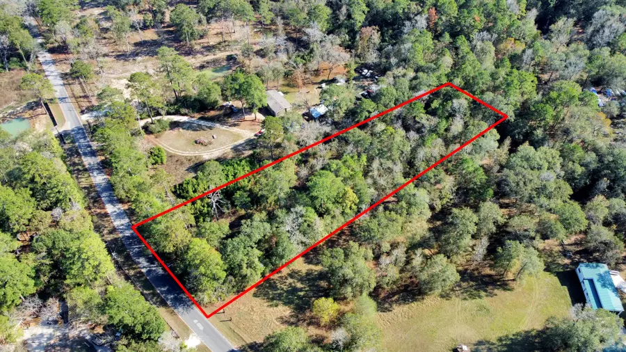 8219 Clark Road, Plantersville, TX 77363 - #3