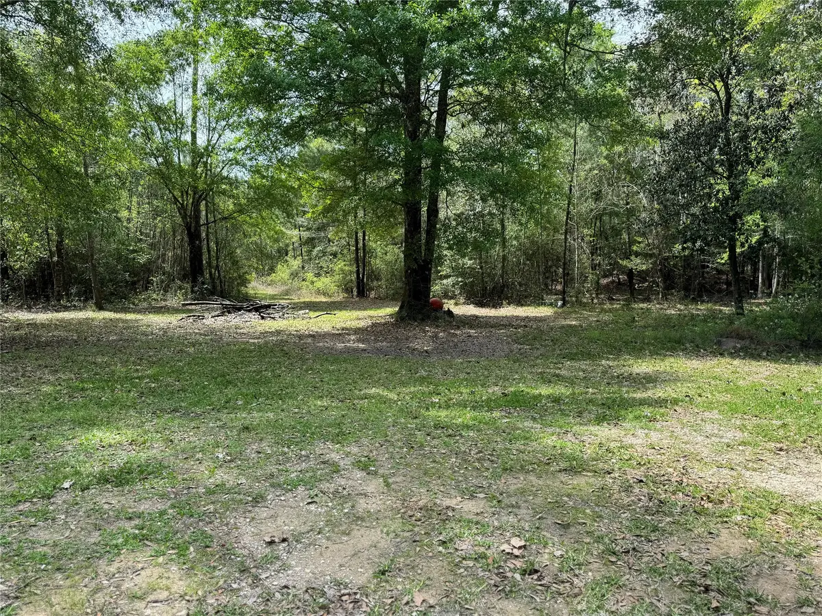 10586 Holland Road, Kountze, TX 77625 - #1
