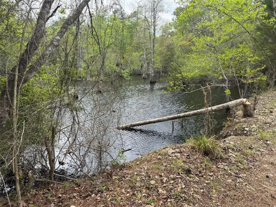 10586 Holland Road, Kountze, TX 77625 - #2