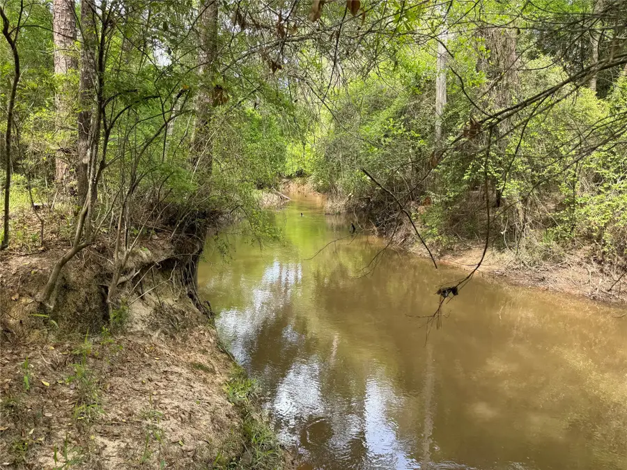 10586 Holland Road, Kountze, TX 77625 - #3