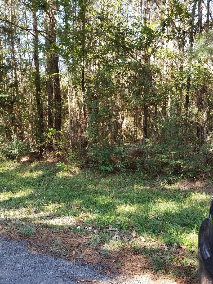 0 County Road 2097, Liberty, TX 77575 - Image #2