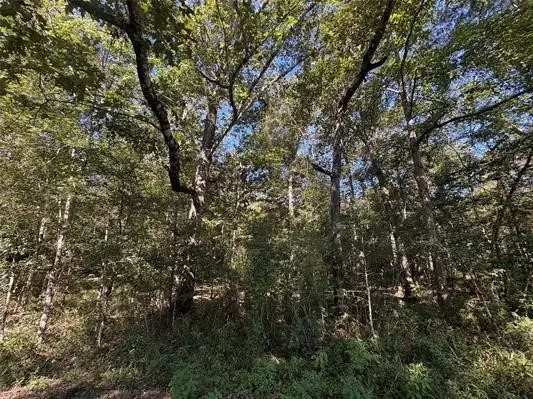 25595 Hwy 787, , TX 77374