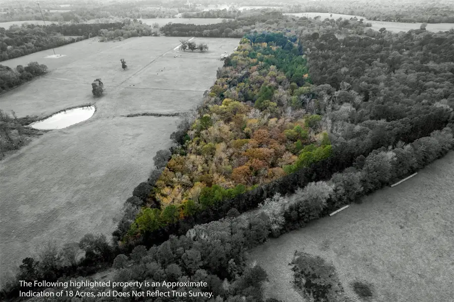 590 An County Road 169, Elkhart, TX 75839 - Image #2