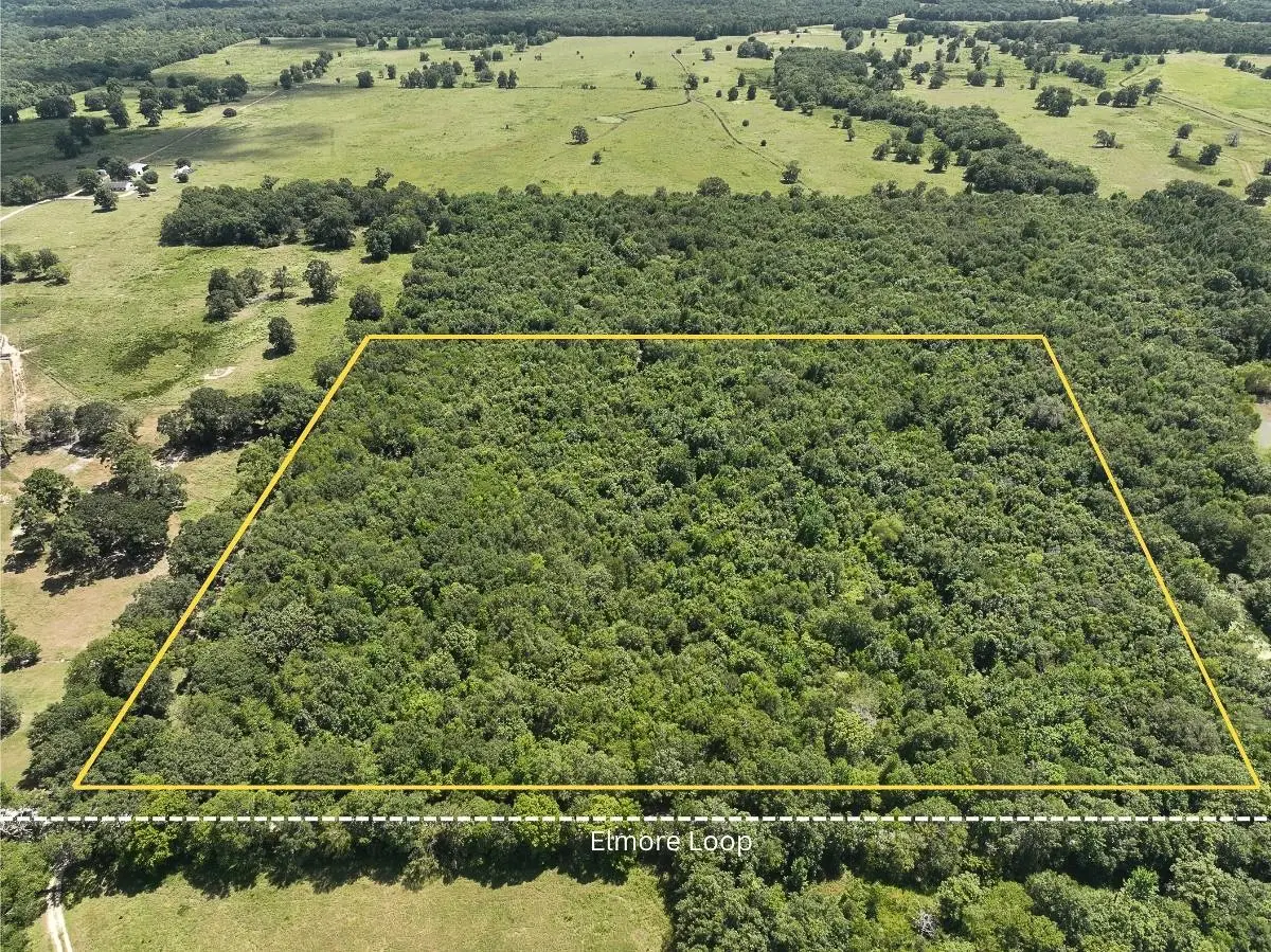 TBD Elmore Loop, Shepherd, TX 77371 - #1