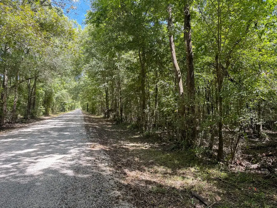 TBD Elmore Loop, Shepherd, TX 77371 - #2