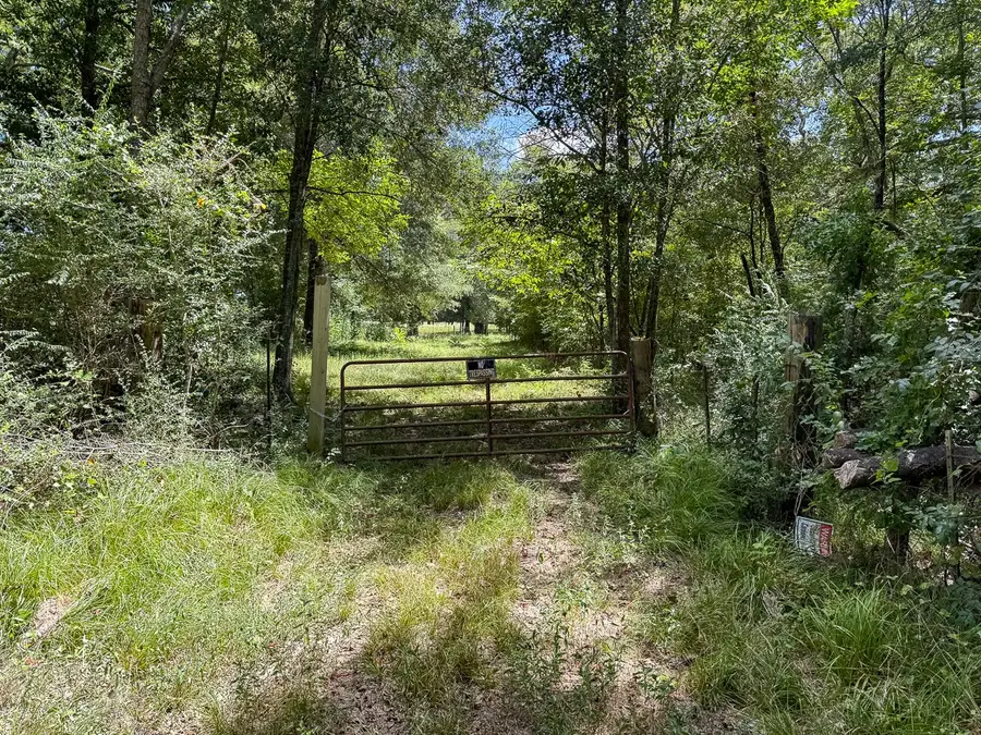 TBD Elmore Loop, Shepherd, TX 77371 - #3