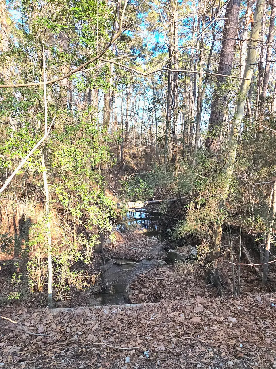 TBD Governor Wood Drive, Point Blank, TX 77364 - #2