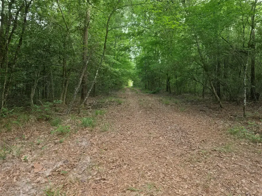 3377 Pine Lane, Saratoga, TX 77585 - #3