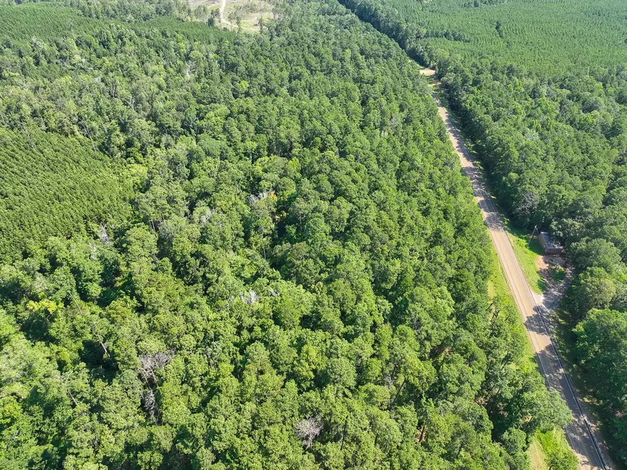 02 Highway 87, Milam, TX 75959 - #2