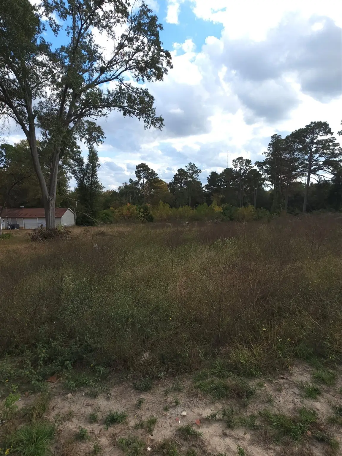 2303 S Fredonia Street, Nacogdoches, TX 75964 - Image #1