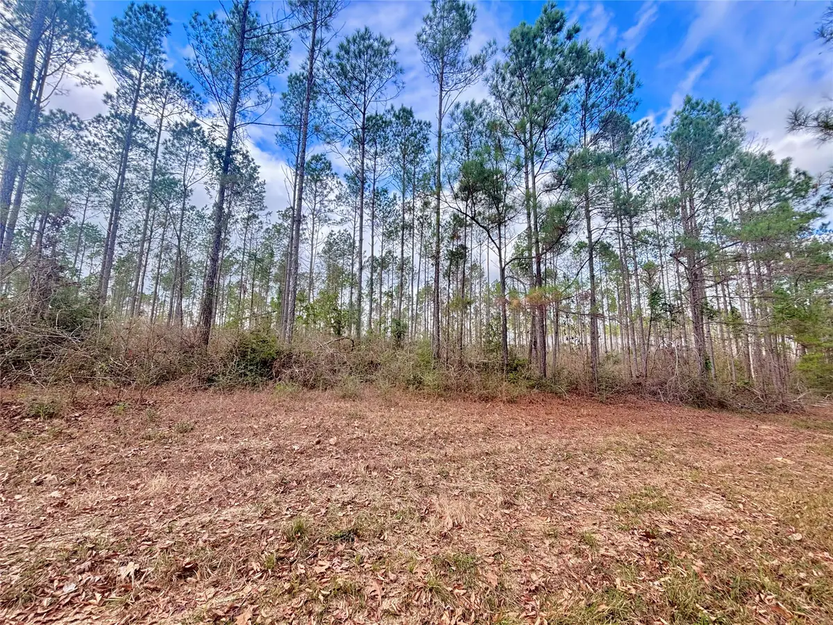 02 Fm 1005, Jasper, TX 75951 - #1