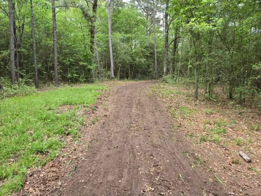 12A Mills Lane, Richards, TX 77873 - #2