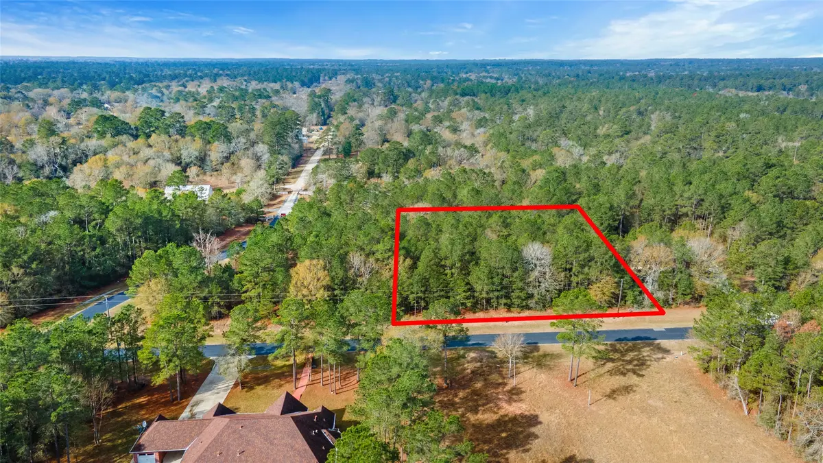 17855 Round Up Drive, Waller, TX 77484 - #1