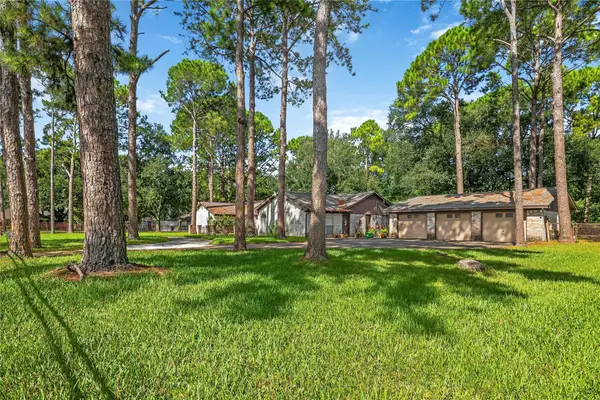 10110 Rolke Road, Houston, TX 77099