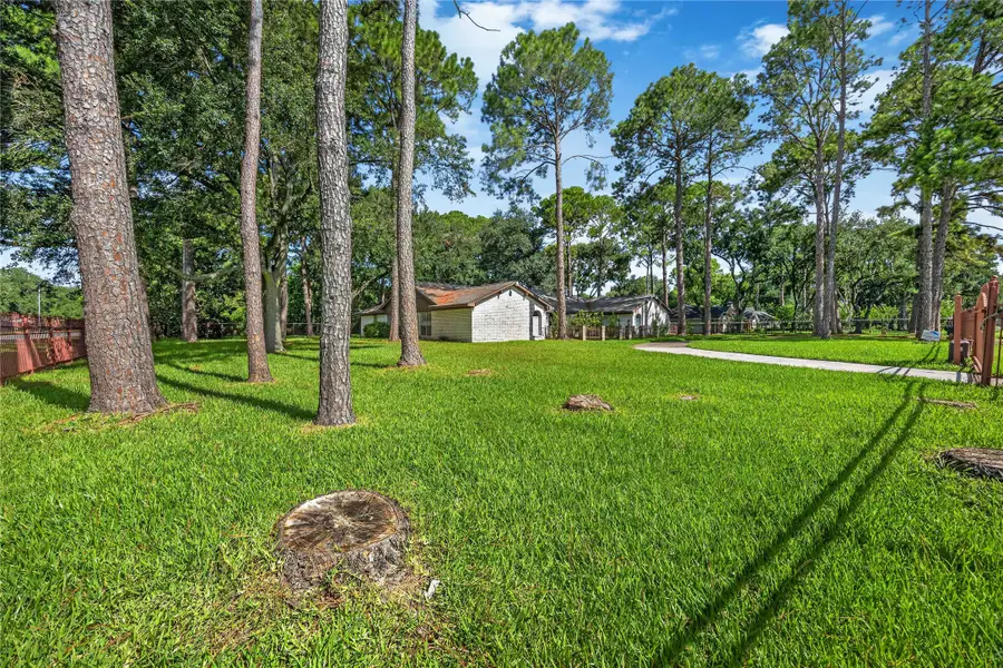 10110 Rolke Road, Houston, TX 77099 - #3