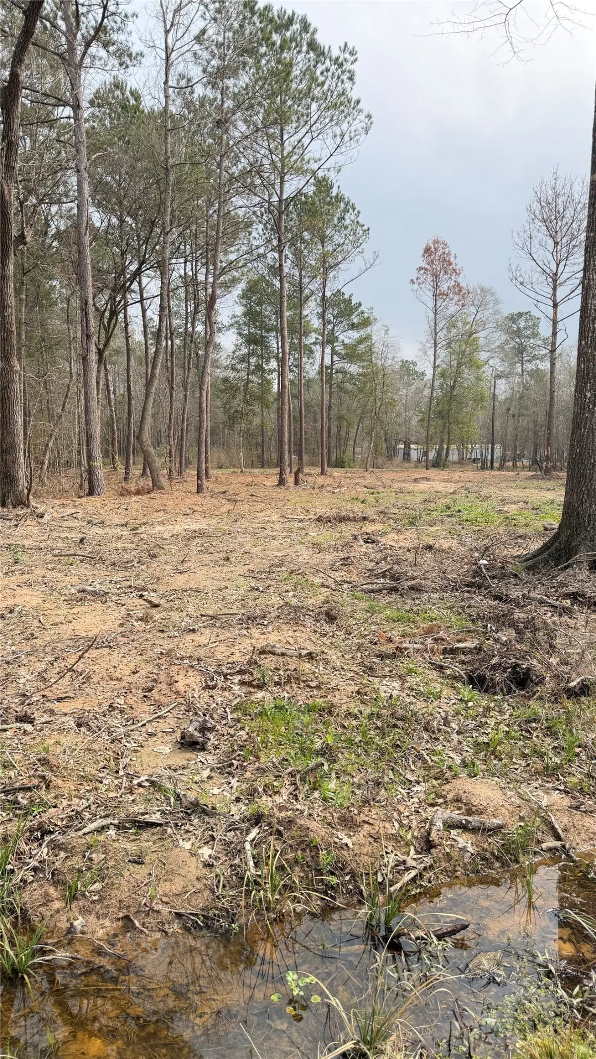 0 Dogwood Trail, Shepherd, TX 77371 - #1