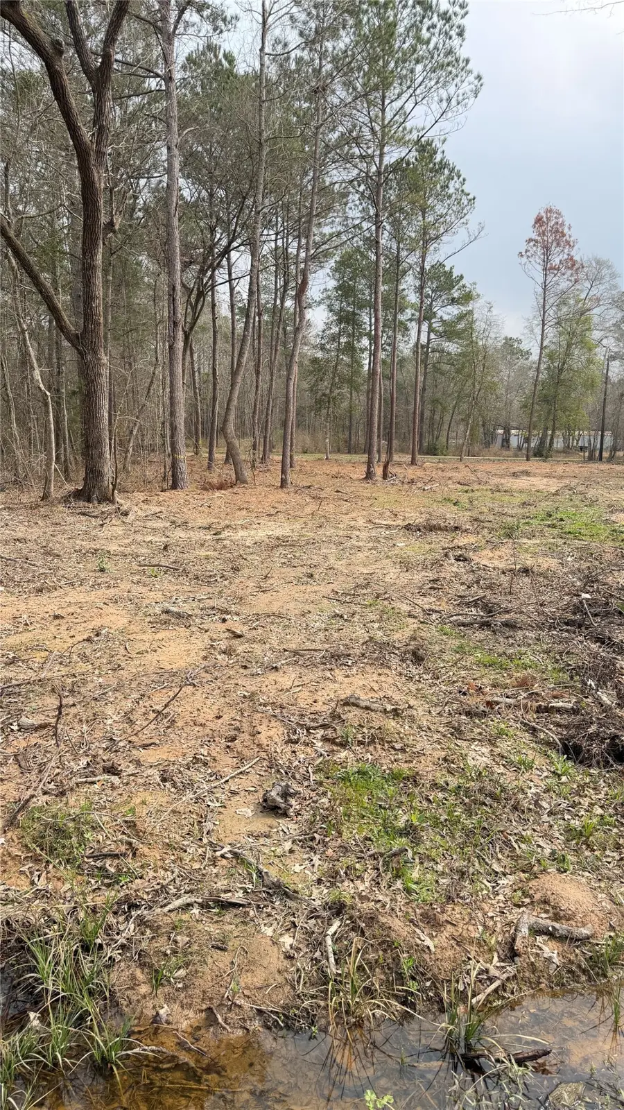 0 Dogwood Trail, Shepherd, TX 77371 - #3