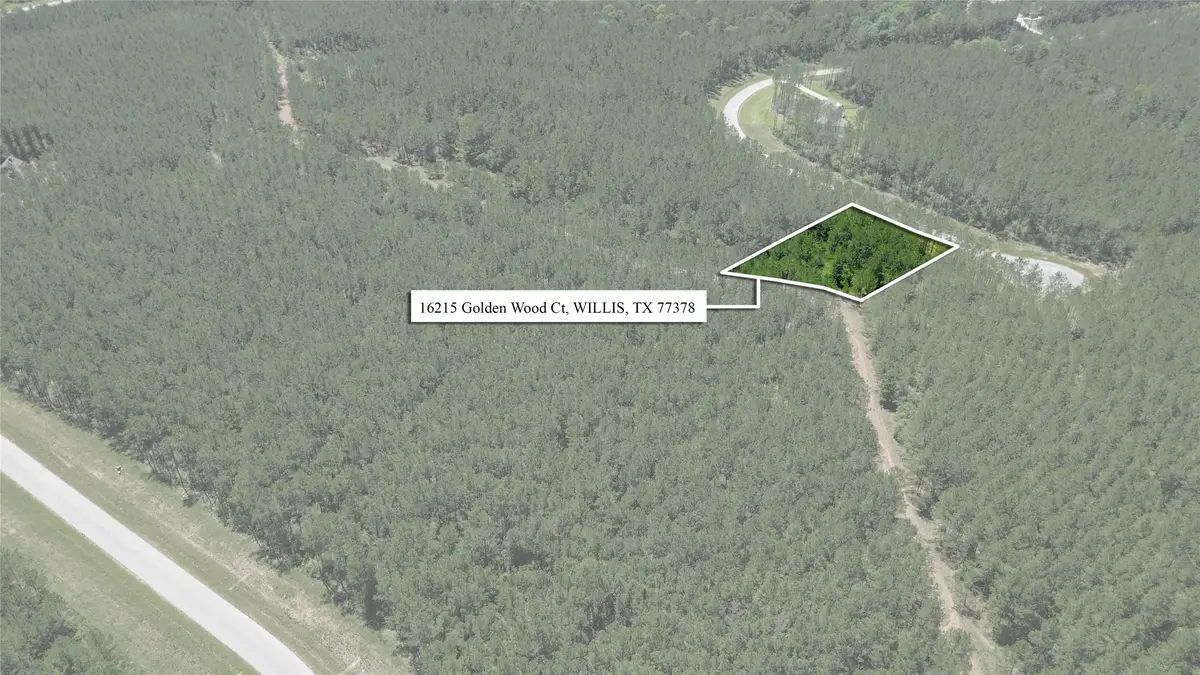 16215 Golden Wood Court, Willis, TX 77378 - #1