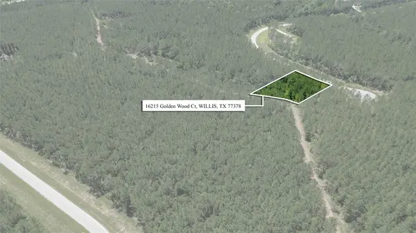 16215 Golden Wood Court, Willis, TX 77378