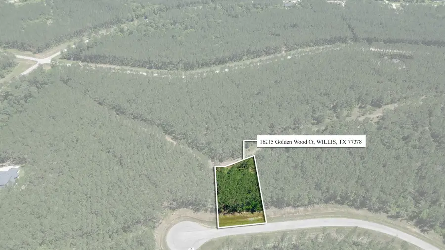16215 Golden Wood Court, Willis, TX 77378 - #3