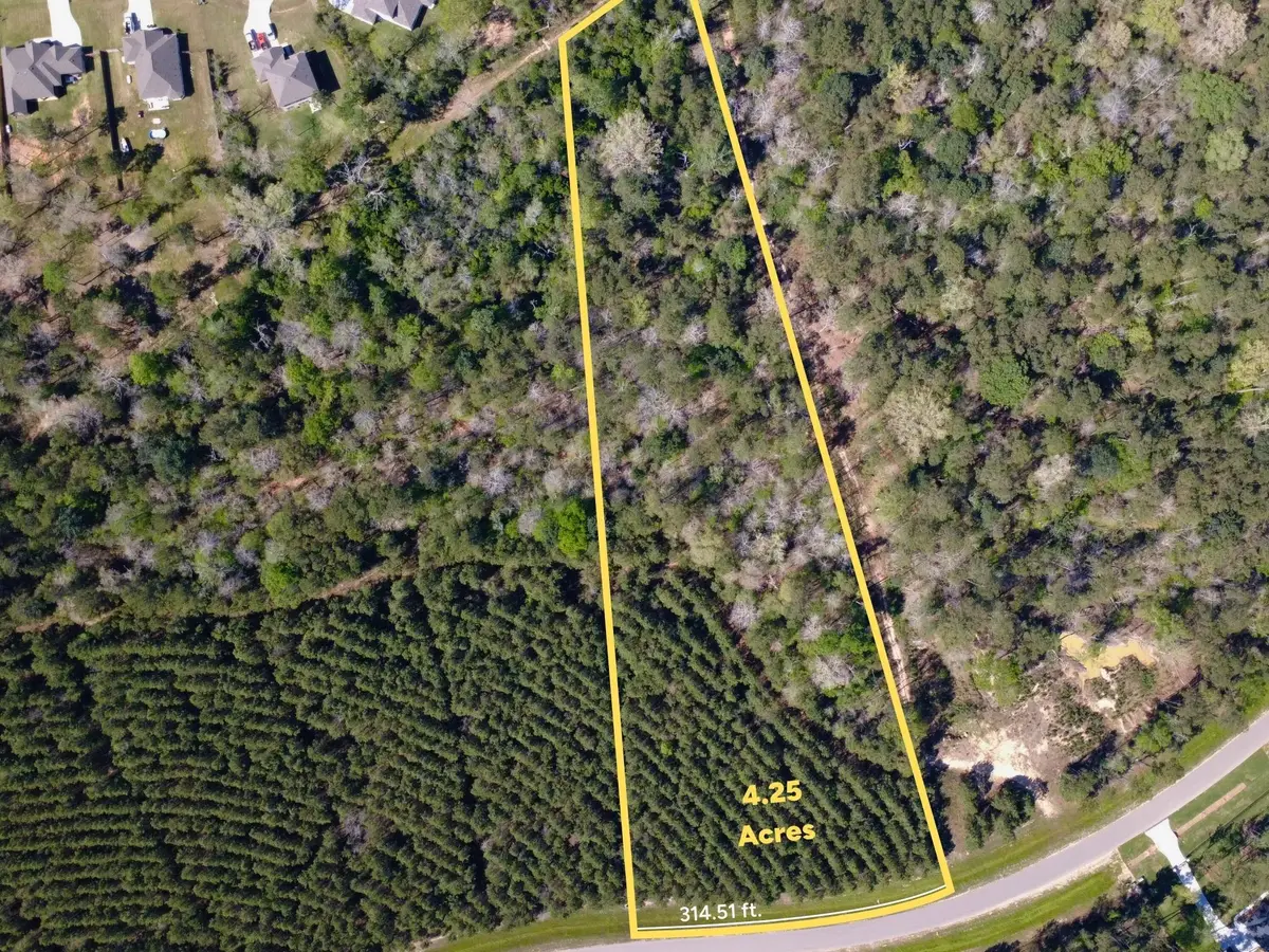 15761 Ridge Rock Road, Willis, TX 77378 - #1