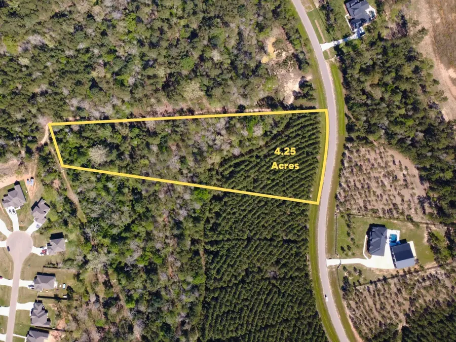 15761 Ridge Rock Road, Willis, TX 77378 - #2