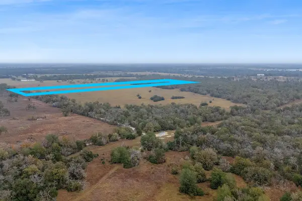 CR 123 - Tract 4, Bedias, TX 77831