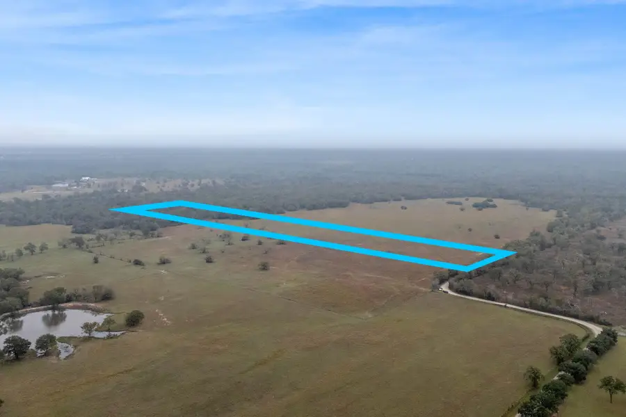 CR 123 - Tract 4, Bedias, TX 77831 - Image #3