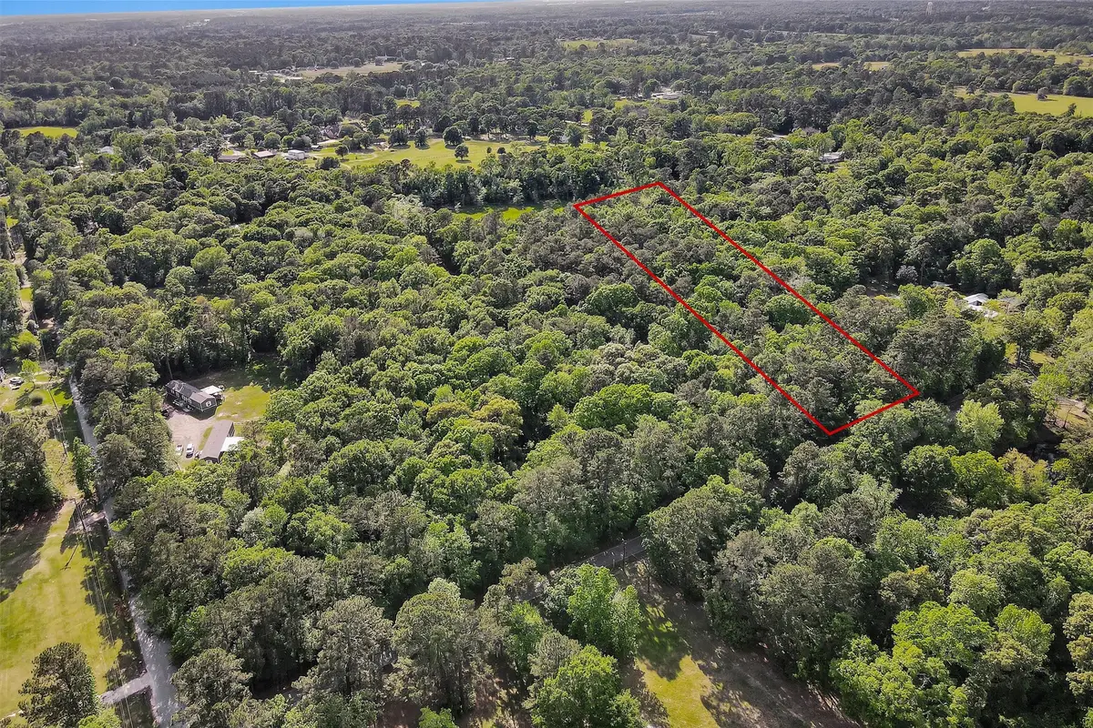 15672 Ben Wiggins, Conroe, TX 77303 - #1